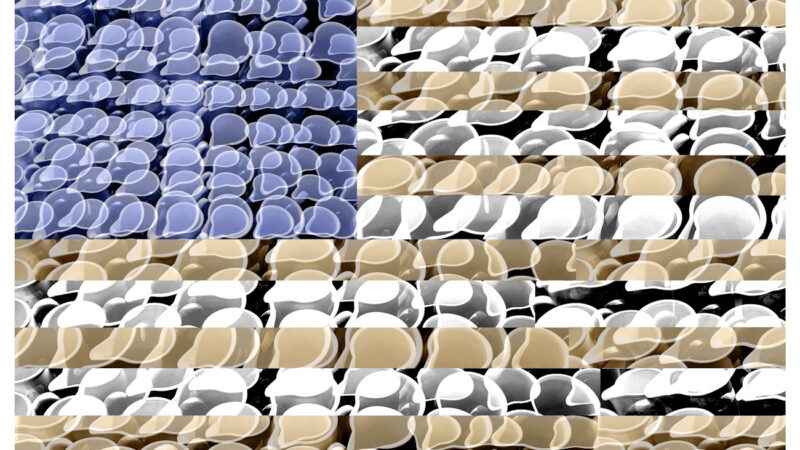 Manufakturen-Blog-PopArt-Projekt: Kännchen IV (Fahnen), blau / creme / weiß (Foto: Wigmar Bressel) - Collage, basierend auf einem Foto von Kännchen aus der Serie 'Solid Color' im Werksverkauf der Porzellanmanufaktur Dibbern in der Produktion in Hohenberg an der Eger