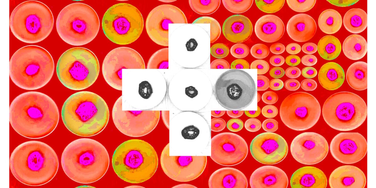 Manufakturen-Blog-PopArt-Projekt: Teller XII (Fahnen), rot / orange / weiß (Foto: Wigmar Bressel) aus der Serie 'Spiegelungen' - Collage, basierend auf einem Foto von Kathrin Ritzi-Schaufelberger von Tellern des eidgenössischen Ritziporzellan aus Kradolf