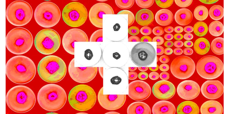 Manufakturen-Blog-PopArt-Projekt: Teller XII (Fahnen), rot / orange / weiß (Foto: Wigmar Bressel) aus der Serie 'Spiegelungen' - Collage, basierend auf einem Foto von Kathrin Ritzi-Schaufelberger von Tellern des eidgenössischen Ritziporzellan aus Kradolf