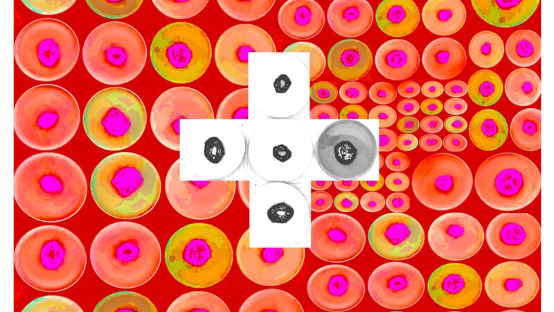 Manufakturen-Blog-PopArt-Projekt: Teller XII (Fahnen), rot / orange / weiß (Foto: Wigmar Bressel) aus der Serie 'Spiegelungen' - Collage, basierend auf einem Foto von Kathrin Ritzi-Schaufelberger von Tellern des eidgenössischen Ritziporzellan aus Kradolf
