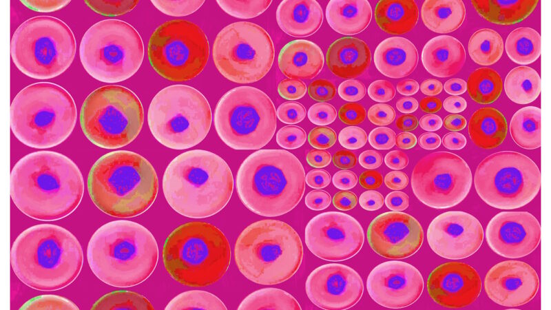 Manufakturen-Blog-PopArt-Projekt: Teller XIV (Fahnen), violett / blau (Foto: Wigmar Bressel) aus der Serie 'Spiegelungen' - Collage, basierend auf einem Foto von Kathrin Ritzi-Schaufelberger von Tellern des eidgenössischen Ritziporzellan aus Kradolf