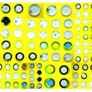 Manufakturen-Blog-PopArt-Projekt: Teller XIII (Fahnen), gelb (Foto: Wigmar Bressel) aus der Serie 'Spiegelungen' - Collage, basierend auf einem Foto bei Weimar-Porzellan, der Porzellanmanufaktur in Blankenhain; es handelt sich um Teller an einer Wand mit historischen Dekoren aus mehr als 200 Jahren der langen Firmengeschichte (1790 - 2018)...