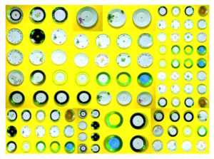 Manufakturen-Blog-PopArt-Projekt: Teller XIII (Fahnen), gelb (Foto: Wigmar Bressel) aus der Serie 'Spiegelungen' - Collage, basierend auf einem Foto bei Weimar-Porzellan, der Porzellanmanufaktur in Blankenhain; es handelt sich um Teller an einer Wand mit historischen Dekoren aus mehr als 200 Jahren der langen Firmengeschichte (1790 - 2018)...