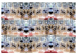 Manufakturen-Blog-PopArt-Projekt: Niedersachsen-Pferd 27, creme - oder "All die schönen Pferde" nach Cormac McCarthy (Foto: Wigmar Bressel) aus der Serie 'Spiegelungen' - Collage, basierend auf einem Foto des berühmten Geschenks der niedersächsischen Landesregierung aus der landeseigenen Produktion, fotografiert während ebendieser in der Porzellanmanufaktur Fürstenberg auf dem Landesaußenposten in Fürstenberg an der Weser