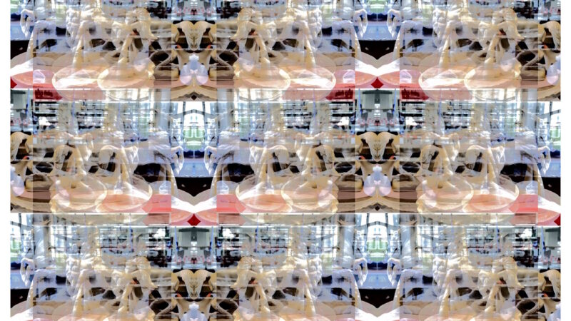 Manufakturen-Blog-PopArt-Projekt: Niedersachsen-Pferd 27, creme - oder "All die schönen Pferde" nach Cormac McCarthy (Foto: Wigmar Bressel) aus der Serie 'Spiegelungen' - Collage, basierend auf einem Foto des berühmten Geschenks der niedersächsischen Landesregierung aus der landeseigenen Produktion, fotografiert während ebendieser in der Porzellanmanufaktur Fürstenberg auf dem Landesaußenposten in Fürstenberg an der Weser
