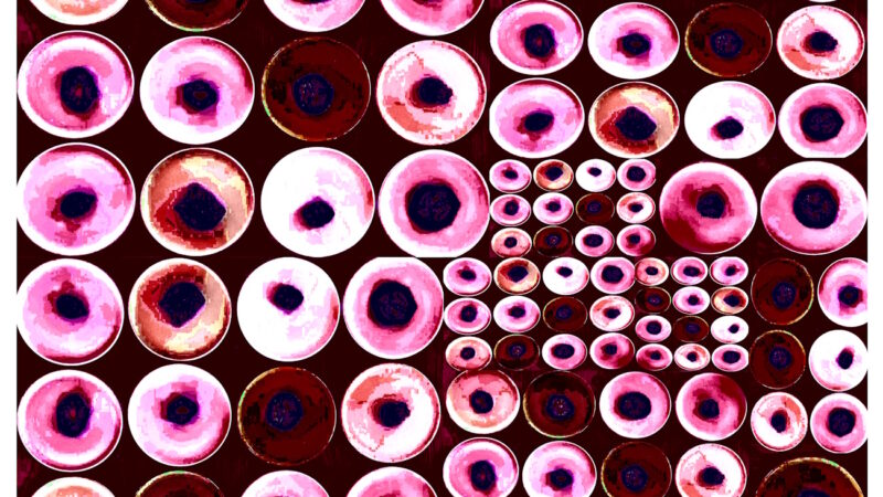 Manufakturen-Blog-PopArt-Projekt: Teller XVII (Fahnen), bordeaux / rosa (Foto: Wigmar Bressel) aus der Serie 'Spiegelungen' - Collage, basierend auf einem Foto von Kathrin Ritzi-Schaufelberger von Tellern des eidgenössischen Ritziporzellan aus Kradolf