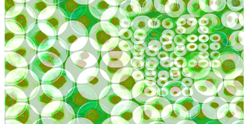 Manufakturen-Blog-PopArt-Projekt: Teller XVI (Fahnen), weiß / grün (Foto: Wigmar Bressel) aus der Serie 'Spiegelungen' - Collage, basierend auf einem Foto von Kathrin Ritzi-Schaufelberger von Tellern des eidgenössischen Ritziporzellan aus Kradolf