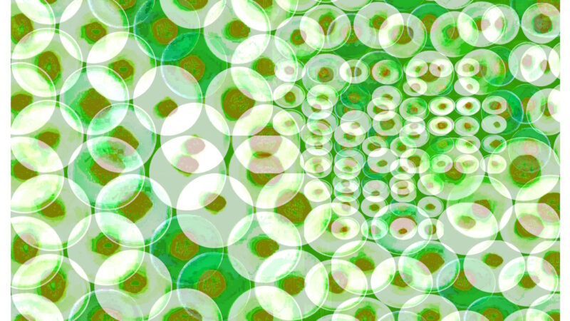 Manufakturen-Blog-PopArt-Projekt: Teller XVI (Fahnen), weiß / grün (Foto: Wigmar Bressel) aus der Serie 'Spiegelungen' - Collage, basierend auf einem Foto von Kathrin Ritzi-Schaufelberger von Tellern des eidgenössischen Ritziporzellan aus Kradolf
