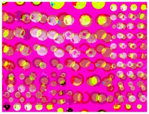 Manufakturen-Blog-PopArt-Projekt: Teller XV, pink / gelb / weiß (Foto: Wigmar Bressel) aus der Serie 'Spiegelungen' - Collage, basierend auf einem Foto bei Weimar-Porzellan, der Porzellanmanufaktur in Blankenhain; es handelt sich um Teller an einer Wand mit historischen Dekoren aus mehr als 200 Jahren der langen Firmengeschichte (1790 - 2018)...